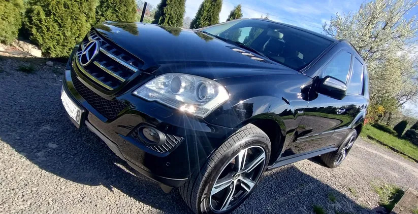 mercedes benz Mercedes-Benz ML cena 49900 przebieg: 290000, rok produkcji 2010 z Siedliszcze